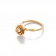 Δαχτυλίδι Amarose Gold